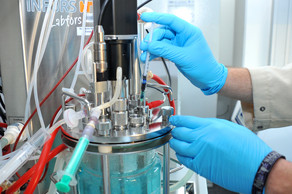 Zwei behandschuhte Hände geben eine Flüssigkeit in einen Fermenter